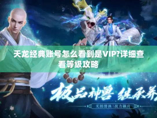 天龙经典账号怎么看到是VIP?详细查看等级攻略