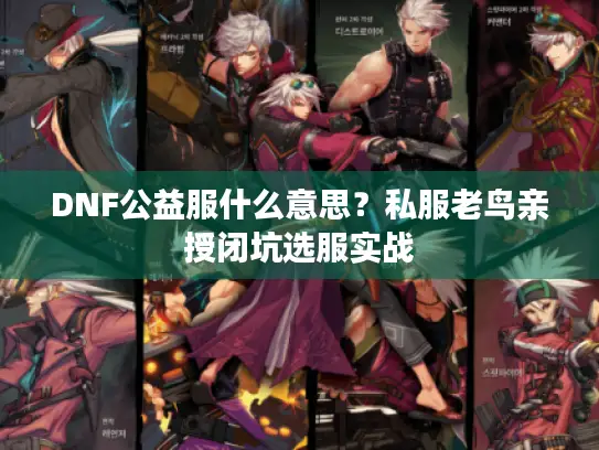 DNF公益服什么意思？私服老鸟亲授闭坑选服实战
