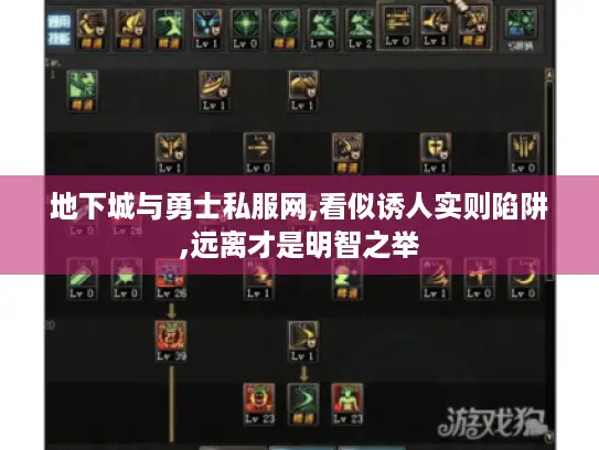 地下城与勇士私服网,看似诱人实则陷阱,远离才是明智之举
