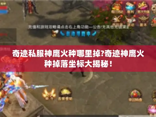 奇迹私服神鹰火种哪里掉?奇迹神鹰火种掉落坐标大揭秘！