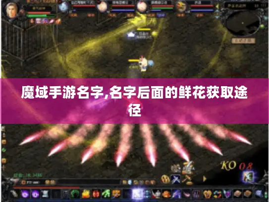 魔域手游名字,名字后面的鲜花获取途径