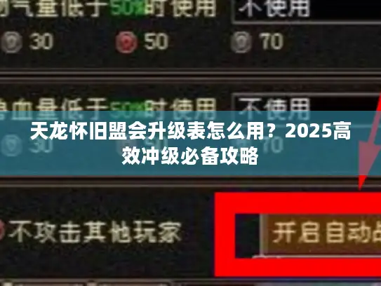 天龙怀旧盟会升级表怎么用？2025高效冲级必备攻略
