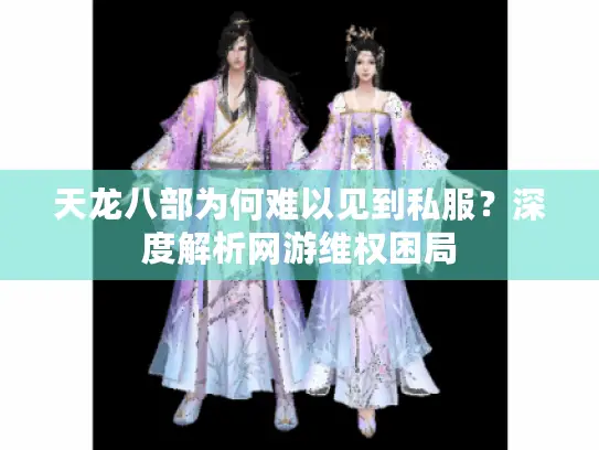 天龙八部为何难以见到私服？深度解析网游维权困局