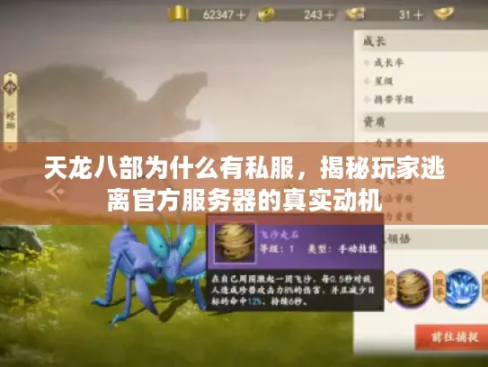 天龙八部为什么有私服,揭秘玩家逃离官方服务器的真实动机 天龙八部为什么有私服,揭秘玩家逃离官方服务器的真实动机