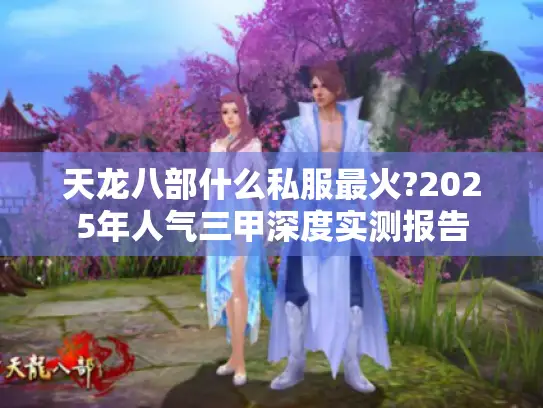 天龙八部什么私服最火?2025年人气三甲深度实测报告
