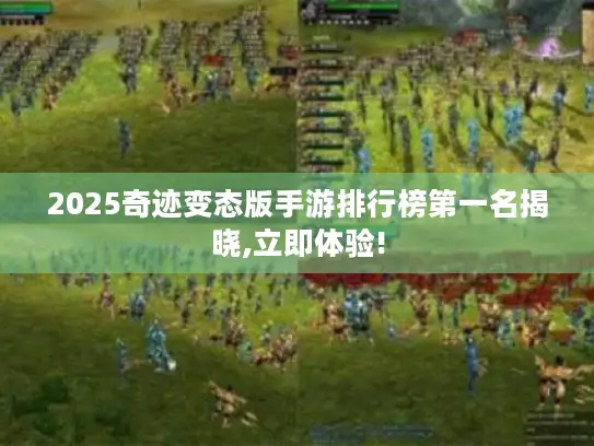 2025奇迹变态版手游排行榜第一名揭晓,立即体验!