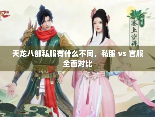 天龙八部私服有什么不同，私服 vs 官服全面对比