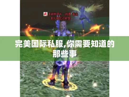 完美国际私服,你需要知道的那些事 完美国际私服,你需要知道的那些事