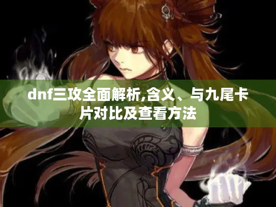 dnf三攻全面解析,含义、与九尾卡片对比及查看方法 dnf三攻全面解析,含义、与九尾卡片对比及查看方法