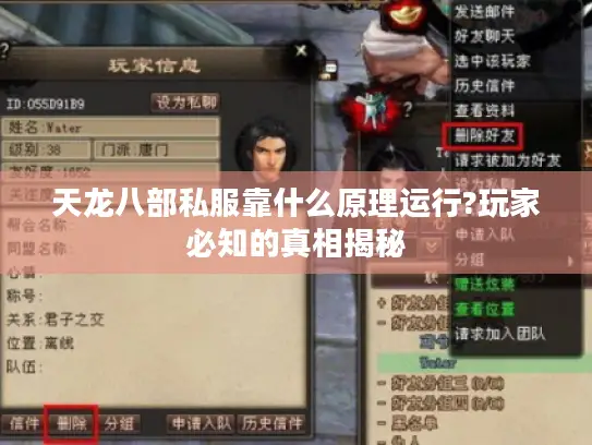 天龙八部私服靠什么原理运行?玩家必知的真相揭秘 天龙八部私服靠什么原理运行?玩家必知的真相揭秘