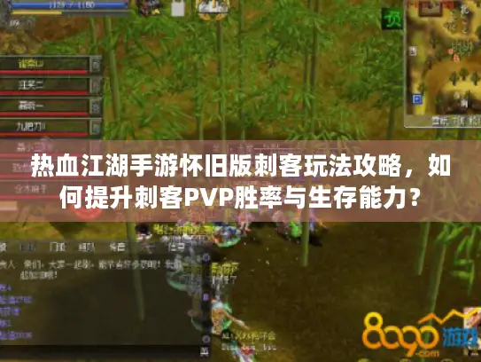 热血江湖手游怀旧版刺客玩法攻略，如何提升刺客PVP胜率与生存能力？