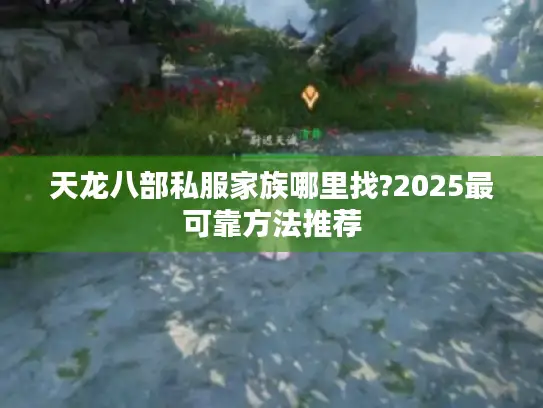 天龙八部私服家族哪里找?2025最可靠方法推荐