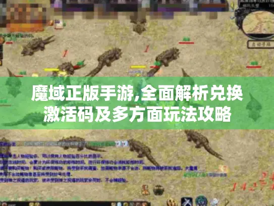 魔域正版手游,全面解析兑换激活码及多方面玩法攻略 魔域正版手游,全面解析兑换激活码及多方面玩法攻略