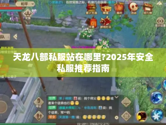 天龙八部私服站在哪里?2025年安全私服推荐指南
