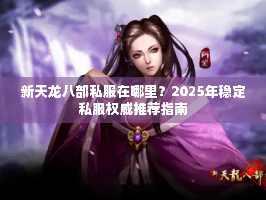 新天龙八部私服在哪里？2025年稳定私服权威推荐指南