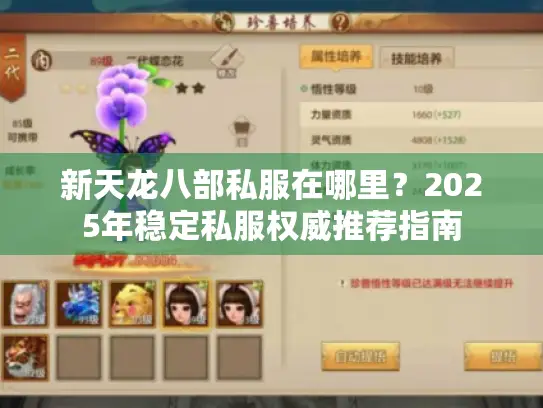 新天龙八部私服在哪里？2025年稳定私服权威推荐指南
