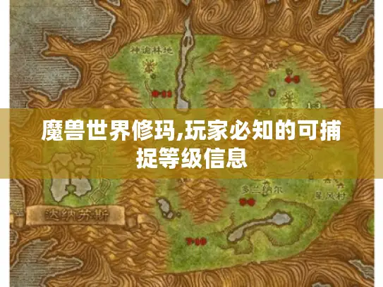魔兽世界修玛,玩家必知的可捕捉等级信息