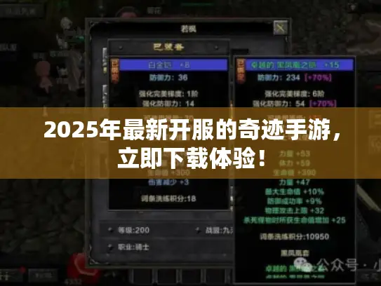 2025年最新开服的奇迹手游,立即下载体验! 2025年最新开服的奇迹手游,立即下载体验!